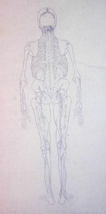 Étude de la figure humaine, vue postérieure, d