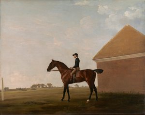 Turf, avec Jockey, à Newmarket - George Stubbs