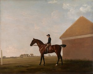 Turf, avec jockey à Newmarket - George Stubbs