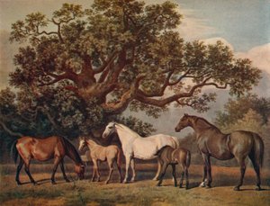 Juments et poulains, fin du 18ème siècle