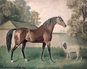 Dungannon - George Townley Stubbs