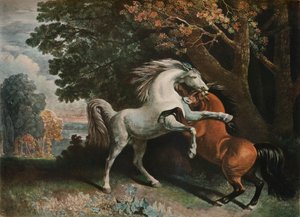 Chevaux se battant, 18ème siècle, 1902 - George Townley Stubbs