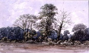 Arbres à Perry Bar près de Birmingham, 19e siècle - George Augustus Wallis