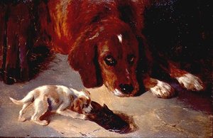 Un chiot curieux - George Wiliam Horlor