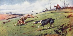 Coursing - George Wright
