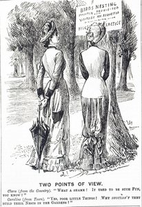 Caricature commentant la loi sur la protection des oiseaux de 1880 - George du Maurier
