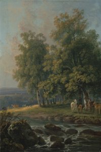 Chevaux et bovins près d