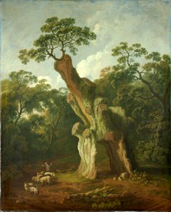 Vue du Chêne de Greendale dans le parc de Welbeck - George the Elder Barret