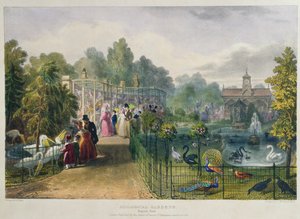 La Volière aux Jardins Zoologiques, Regent
