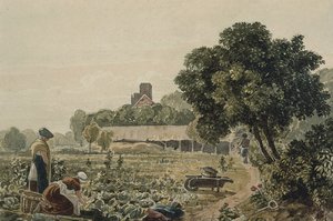 Jardin maraîcher à Chelsea - George the Younger Barret