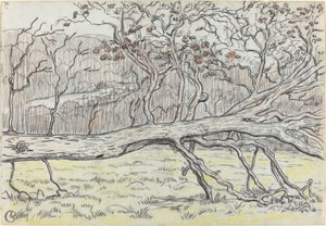 Arbre abattu, Normandie