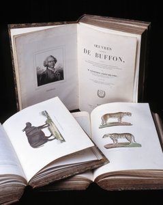 Nature morte des « Œuvres complètes de Buffon » par le naturaliste Georges Louis Leclerc, comte de Buffon (1707 - 1788). Gravure de 1837