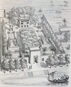 Vue d