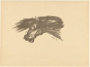 Tête de cheval (L