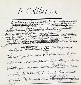 Manuscrit de Buffon sur le Colibri. sd. 18ème siècle - Georges de Buffon