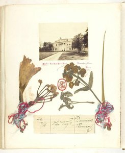 Sans titre [vue de Broadlands avec fleurs séchées], 1868