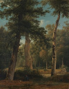 Une forêt à Fontainebleau - Georgius Jacobus Johannes van Os