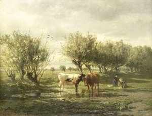 Vaches à un étang