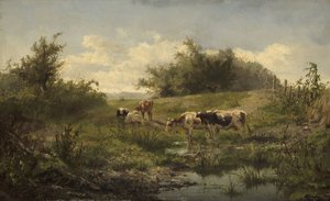 Vaches près d