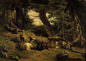 Paysage suisse - Gerard Bilders