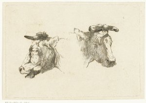 Deux têtes de vaches - Gerard Bilders