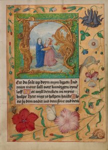 Initial H : La visite - Gerard Horenbout