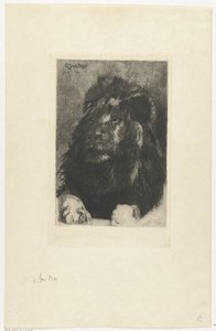 Tête de lion