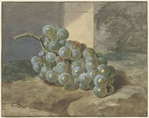 Grappe de raisin