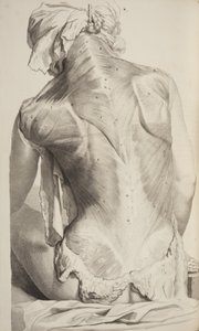 Anatomia Humani Corporis par Govard Bidloo, 1685 - Gerard de Lairesse