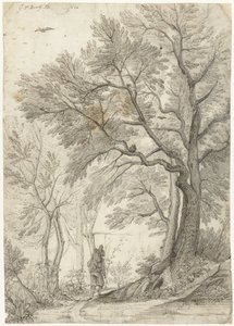 Bois de la Villa Madama près de Rome