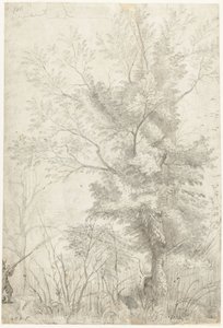 Bois de la Villa Madama près de Rome, avec un chasseur tirant