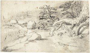 Étude des racines d