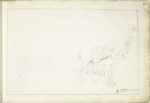 Cheval, vers la droite - Gerard ter Borch (II) (signed by artist)