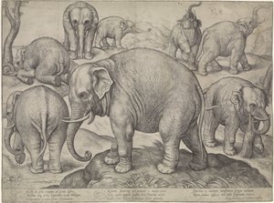Huit éléphants