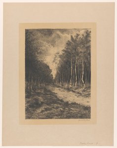 Sentier forestier avec deux cavaliers