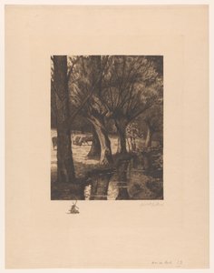 Prairie au bord de l