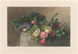 Nature morte avec roses et feuille de chou