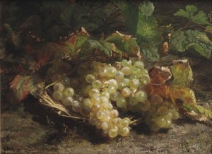 Raisins blancs dans un panier en osier