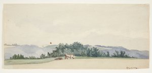 Paysage vallonné avec des vaches - Gerda Henning