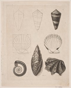 Tableau avec des escargots - Gerhard Ludvig Lahde