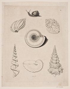 Tableau avec escargots - Gerhard Ludvig Lahde