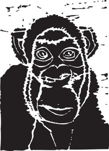 Chimpanzé - Gerhardt Isringhaus