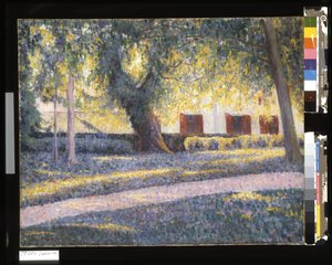 Soleil sous les arbres - Germain Guibal