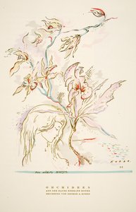 Publicité "Orchideen aus dem Hause Hermann Roth" de Styl, pub.1922 (impression sur pochoir) - German School