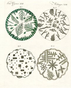 Tous types de cristaux de sel - German School