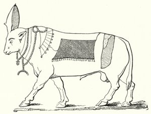 Apis, taureau sacré de l