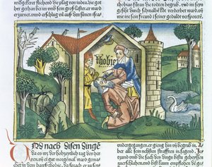 Apocryphe : Tobit est aveuglé par les excréments de moineaux, de la Bible de Nuremberg (Biblia Sacra Germanaica) - German School
