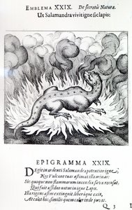 Comme la salamandre vit dans le feu, ainsi aussi la pierre, Emblème XXIX de Atalanta fugiens par Michael Maier, 1617 - German School