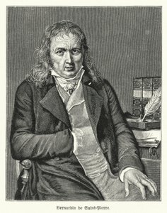 Bernardin de Saint-Pierre, romancier et botaniste français (lithographie) - German School