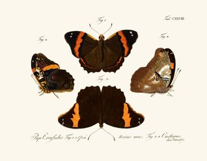 Papillons